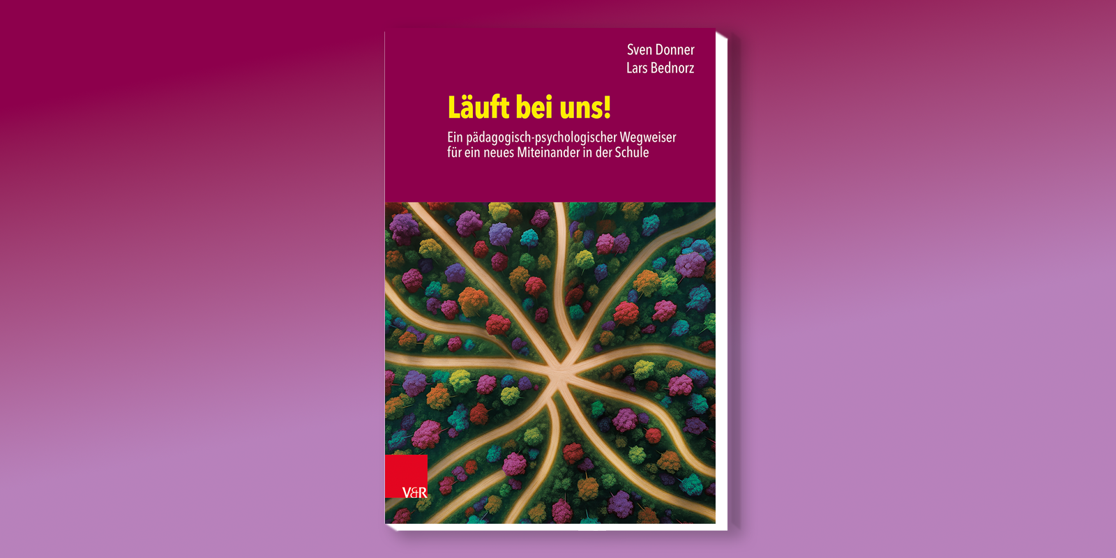 Buchcover von „Läuft bei uns!“ von Sven Donner und Lars Bednorz mit stilisierten Wegen, die auf einen gemeinsamen Mittelpunkt zulaufen.